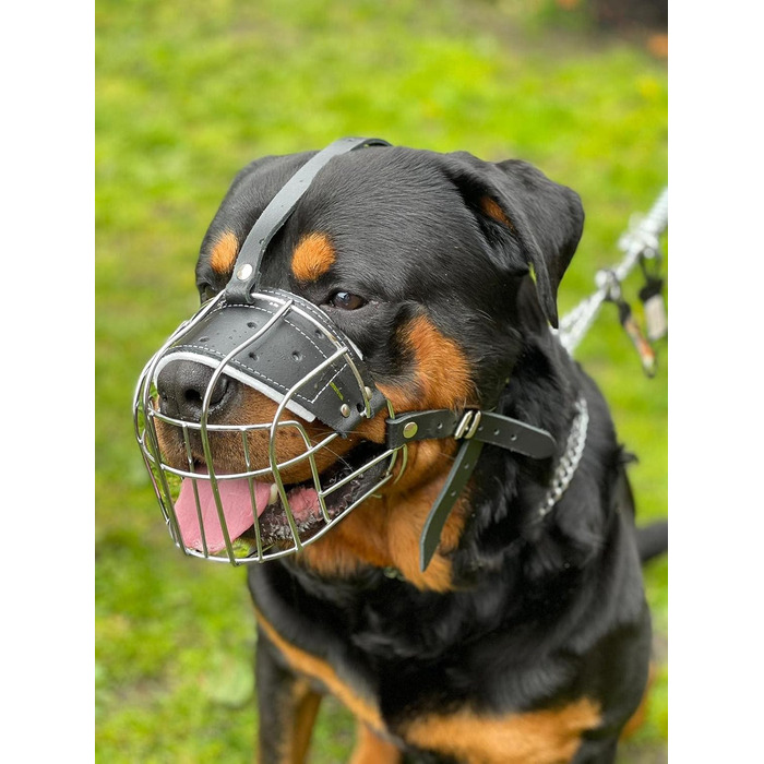 Міцний нашийник-маска для собак з металевої сітки, Rottweiler, Mastiff, Golden Retriever (R2, сріблястий/чорна шкіра)