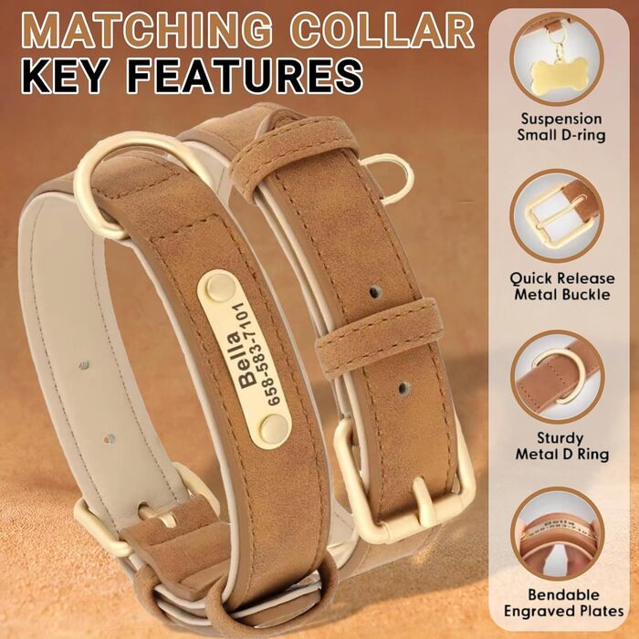 Нашийник та поводок для собак, шкіряні, персоналізовані, м'яко стьовані, міцні, з індивідуальною табличкою, регульовані (M, верблюжий, комплект M: обхват шиї 28-37 см, ширина 2 см)