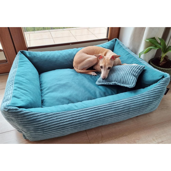 М'яке ліжко для собак та котів 4L Textil Molly, 60x40 см, блакитне (60x40x15 см)