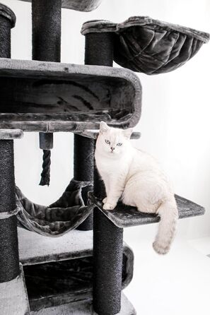 Дряпальня для котів Petrebels Maine Coon XXL, 210 см, з сизалю, чорного кольору