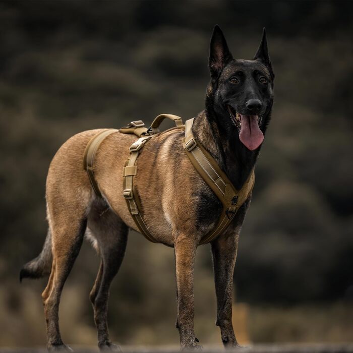 OneTigris HOUNDLOCK Тактичне шлейка для собак, надійна, регульована, з м'якою підкладкою, з ручкою, 2D-кільцями та світловідбиваючими елементами (M, L:27-41кг, обхват шиї 45-63см, обхват грудей 68-91см), Колір: Коричневий