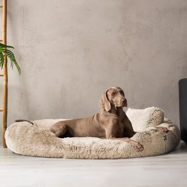 Ортопедичне ліжко для собак Tierlando® Pamela з м'якого штучного хутра Shaggy, знімним матрацом та пральним покриттям, надзвичайно м'яке, розмір 175x115 см, колір: бежевий