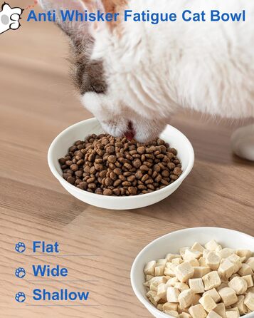 Керамічна миска для котів з віями, 14 см, широка годівниця для вологого корму, миска для котів з милим дизайном, зручна для котів з вусами, неслизька, біла, з сердечками та кігтиками, набір 6 штук