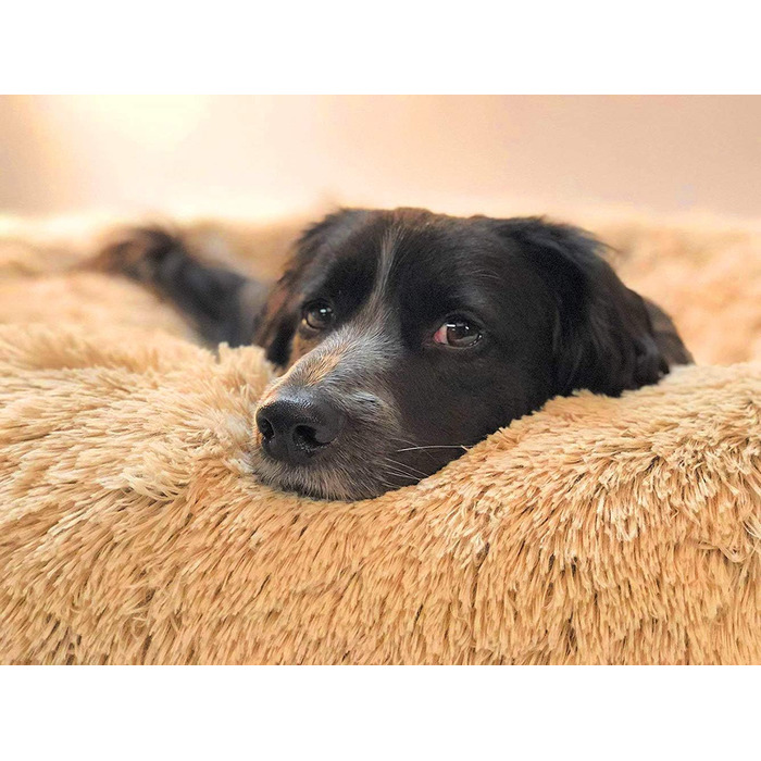 Ортопедичне кругленьке ліжко для собак XL: зручне, миюче, з memory foam. Підходить для великих собак (лабрадорів)