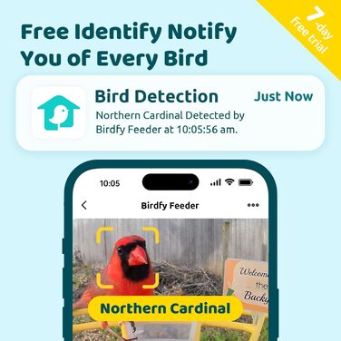 Розумна годівниця для птахів NETVUE Birdfy з камерою для спостереження, сонячною панеллю, кольоровим нічним баченням та автоматичним записом відео (Жовта)