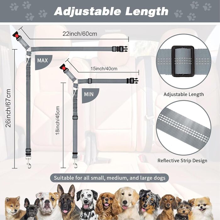 Нашийник для собак у багажник авто, 2 шт. - фіксація, безпека, комфорт під час подорожей, для всіх порід, з еластичною амортизацією та міцними карабінами (сірий)