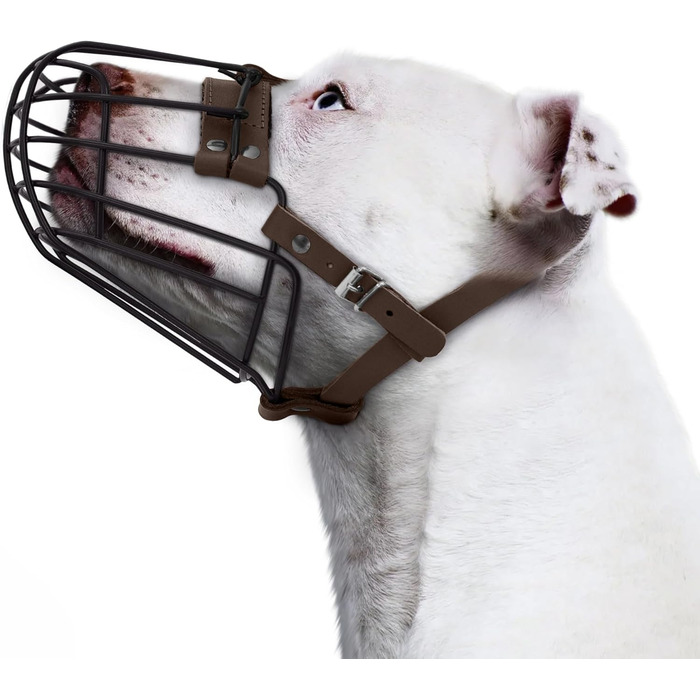 Дротяний намордник для собак Pitbull, Amstaff, Staffordshire Terrier, металевий, дихаючий, безпечний, з регульованими шкіряними ременями, проти укусу, жування та гавкання, фіолетовий