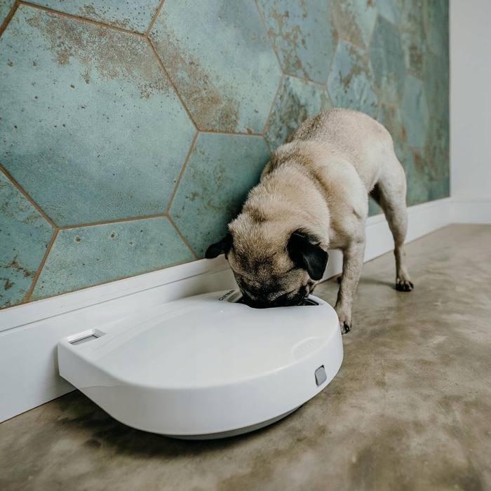 Автоматичний годувальник для тварин Yongsheng, білий, 5 порцій, 330 мл