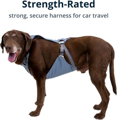 RUFFWEAR Load Up шлейка для собак, сіро-синя, розмір XXS, автомобільна, безпека в дорозі