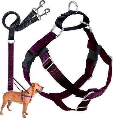 Шлея для собак із повідком 2 Hounds Design, без натягу, бордова, розмір S (ширина 1,6 см)