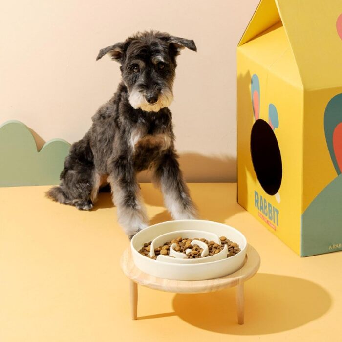 Миска для собак Anti Schling Napf з кераміки, піднята миска для собак, проти блювоти, інтерактивна миска для повільного годування, для котів та маленьких собак, темно-зелена, 15.5 см