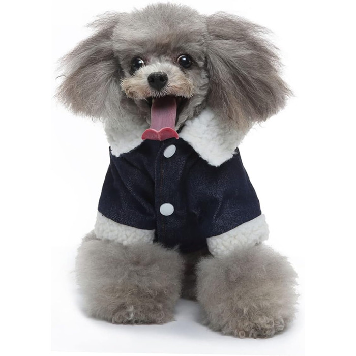 ERINGOGO Тепла куртка для собак на зиму. Водонепроникна, для активного відпочинку та фотосесій. Розмір M, Бежевий