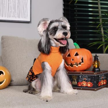 Пуловер для собак CuteBone на Halloween для середніх собак, дівчаток, з вишивкою 