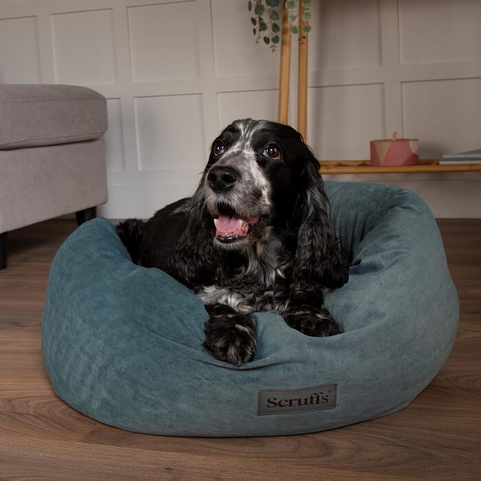 Нашийник для собак Scruffs Oslo Ringbett, 55 см (Lake Teal, XXL)