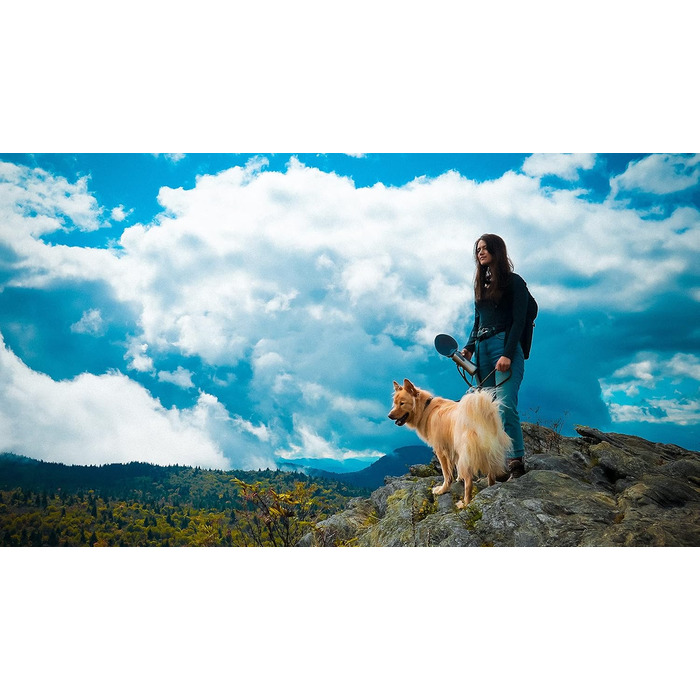 Pacific Paws Поїлка для собак Northwest - переносний диспенсер води, сталева пляшка, силіконовий миска у формі листка, 765 мл, чорний