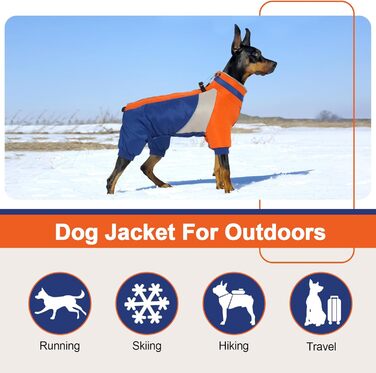 Водонепроникний теплий дощовик для собак Kuoser, для маленьких собак, зимовий, з шлейкою, модний, світловідбиваючий, блакитний, XS