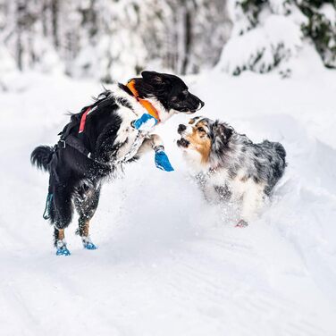 Безпечний нашийник для собак Non-stop dogwear Safe Collar 50 см