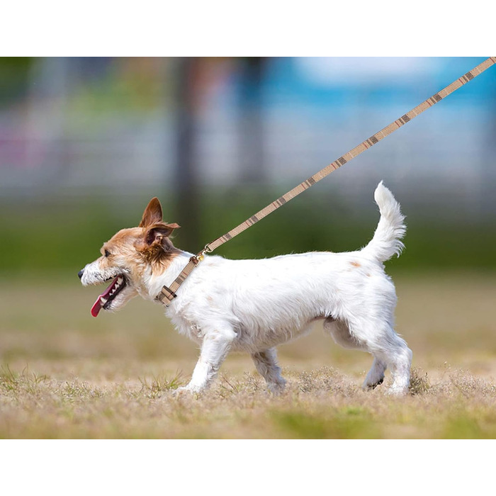 Нашийник для собак, цуценят та котів, комплект з 3 шт., з бантиком та дзвіночком, 9''-11.5'', Бежевий