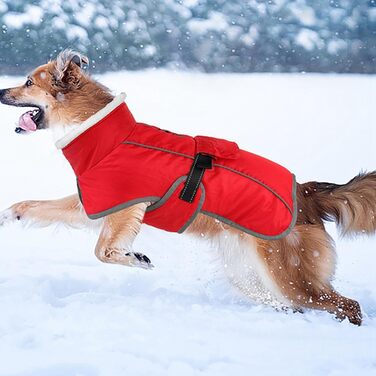 Теплий зимовий одяг для собак: утеплений, для малих та середніх порід, універсальний розмір F