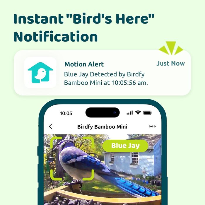 Розумний годівничка для птахів з камерою NETVUE Birdfy, Wi-Fi, сонячна батарея, бамбук, автоматична відеозйомка, розпізнавання птахів, сповіщення