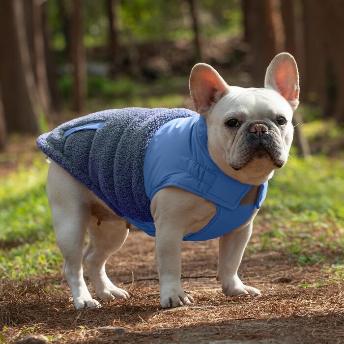 Зимовий теплий жилет для собак з інтегрованим шлейкою, водо- та вітронепроникний, світловідбиваючий, зручний, регульований (Блакитний, 3XLP, обхват грудей 55 см)