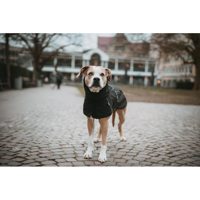 Теплий водонепроникний теплий зимовий одяг для собак HUNTER NORDBY, чорний, розмір 80