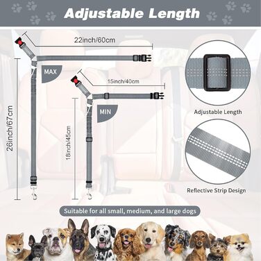 Нашийник для собак у багажник авто, 2 шт. - фіксація, безпека, комфорт під час подорожей, для всіх порід, з еластичною амортизацією та міцними карабінами (сірий)