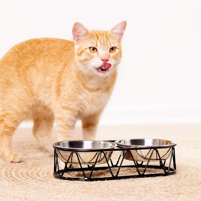 Набір мисок для котів Navaris з кріпленням - 2 шт. Фуршетна станція для котів та собак, миски з емальованого заліза з нержавіючою сталею