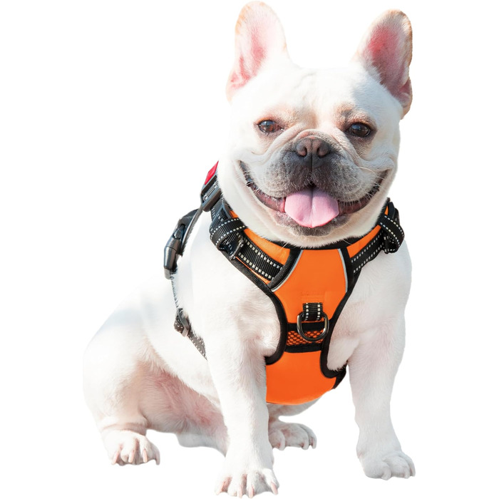 Шлейка для собак PHOEPET з регулюванням, для прогулянок, з карабіном, світловідбиваючими смугами та ручкою для контролю (XL, помаранчевий)