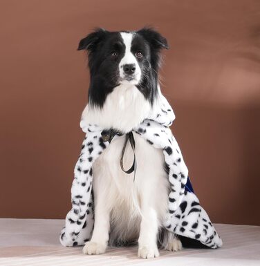 Розкішний мантія Lovelyhop для котів та собак, карнавальний костюм на Halloween, королівський, принц, принцеса, для котів та собак (M, світло-блакитний)