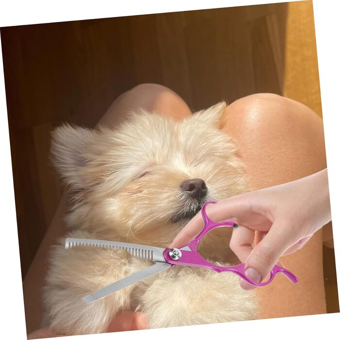 Набір для догляду за собаками Kisangel: ножиці, тример, гребінець для собак, котів та інших тварин. Для видалення волосся з вух, обличчя та кігтів.