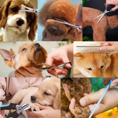 Ножиці для собак Freewindo, професійні, з округлою кінчиком, з нержавіючої сталі, для грумінгу всього тіла