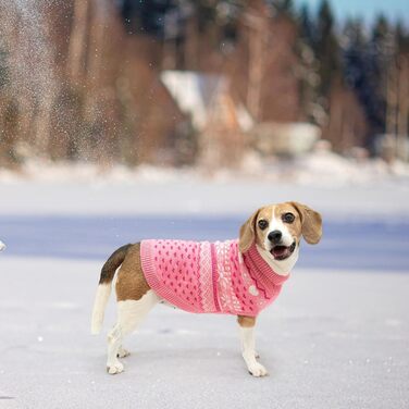Пуловер для собак SCENEREAL: теплий, стильний, для зимових пригод. Розміри XS, S, M. Зі сніжинками. Підходить для цуценят, дівчаток та хлопчиків.