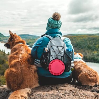 Paercute складана миска для собак, легка та портативна, ідеальна для подорожей, прогулянок, кемпінгу та щоденного використання