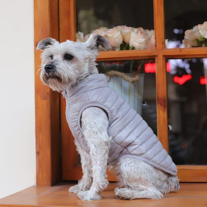 Зимовий одяг для собак: перевертається, теплий, водонепроникний, вітронепроникний, з пуховою підкладкою, для малих та середніх собак, сірий, розмір XL
