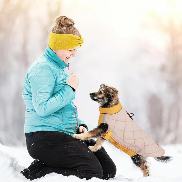 Водонепроникний нашийник для собак PETCUTE, зимова куртка для собак, захист від вітру, одяг для собак середніх та великих порід, нашийник з безпечними світловідбиваючими смугами, дощовик для собак з отвором для шлейки (2XL, Бежевий)