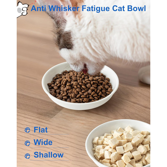 Керамічна миска для котів з віями, 14 см, широка годівниця для вологого корму, миска для котів з милим дизайном, зручна для котів з вусами, неслизька, біла, з сердечками та кігтиками, набір 6 штук