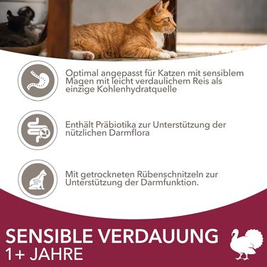 Сухий корм для котів IAMS Sensible Digestion з індичкою для чутливого травлення, 10 кг