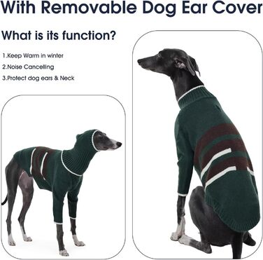 Светр з капюшоном для собаки Windhund, теплий італійський грехаунд, віппет, термо одяг для собак, зелений, XS