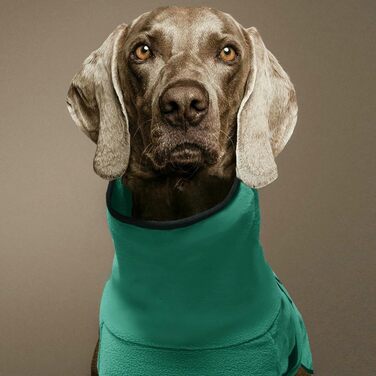 Зимовий одяг для собак: теплий великий пуховик, жилет, куртка для маленьких, середніх собак, голден ретрівер, чорний, 5XL