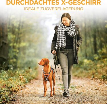 Шлейка для собак - світловідбиваюча, з м'якою підкладкою, для собак різних розмірів, помаранчевого кольору