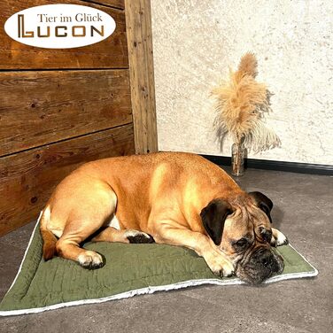Лежак-декоративна ковдра для собак та котів LUCON 85x63 см, м'яка двостороння зелена, флісова, стьобана, для лежака, прана