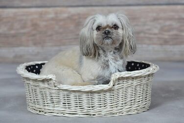 Плетений корзинка-ліжко для собак та котів з подушкою, 60 x 43 x 19 см, бежевий