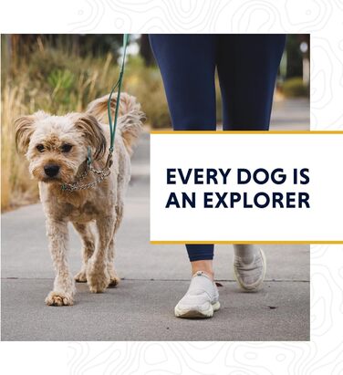 Регульований нашийник RUFFWEAR Chain Reaction для собак, антивитяг, тренувальний, алюмінієве D-кільце, обмежувач, відбивний, сірий, 35-51 см