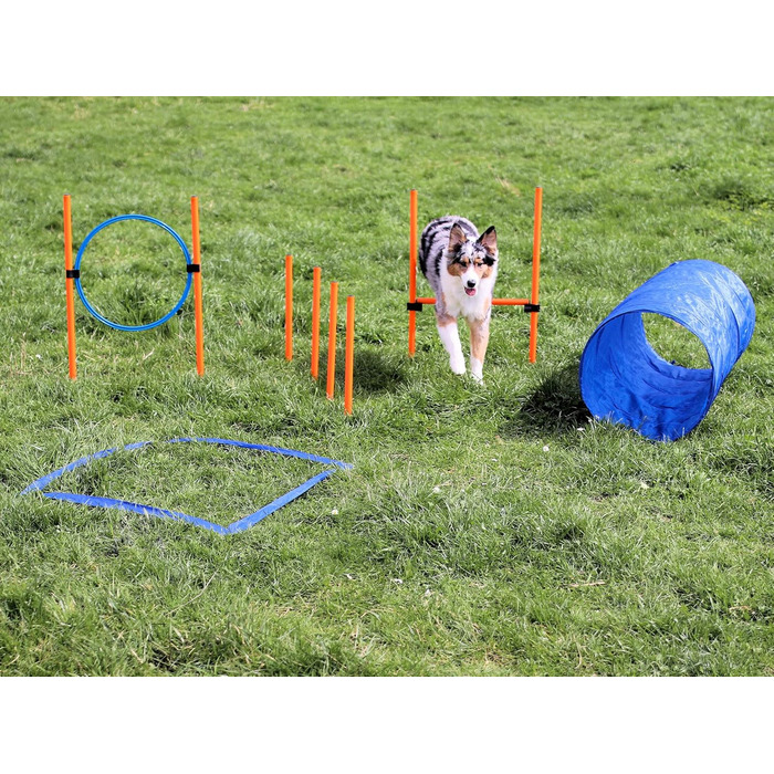 Набір для дресирування собак Vabiono Agility: тунель, обруч, бар'єри, слалом, стійки