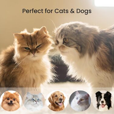 PawRake - щітка для котів та собак на період линьки, для середньої та довгої шерсті, делікатна до шкіри, легка