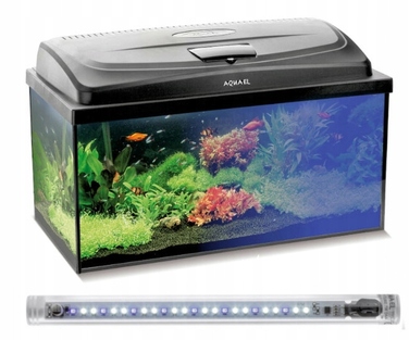 Комплект акваріума Aquael Box 112л (80x35x40) з освітленням 