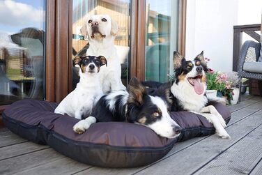 Ліжко для собак середніх порід 4L Textil KLEO, 90x70 см, бежеве, з блискавкою. Ліжко-матрац для собак, вовнове, знімний чохол, легко миється.