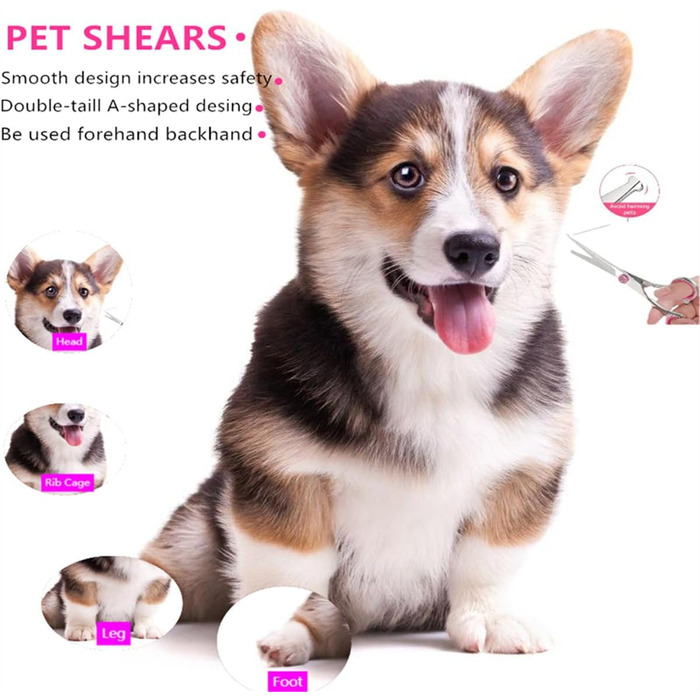 Набір професійних ножиць для собак 6.7 дюймів, рожевий. Ножиці для грумінгу, моделювання та стрижки шерсті собак та котів