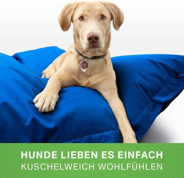 Килимок для собак великих та середніх порід Green Bean 140x180 см: м'який лежак, подушка, ліжко для собак, собаче ліжко, лежанка для собак, диван для собак, блакитний